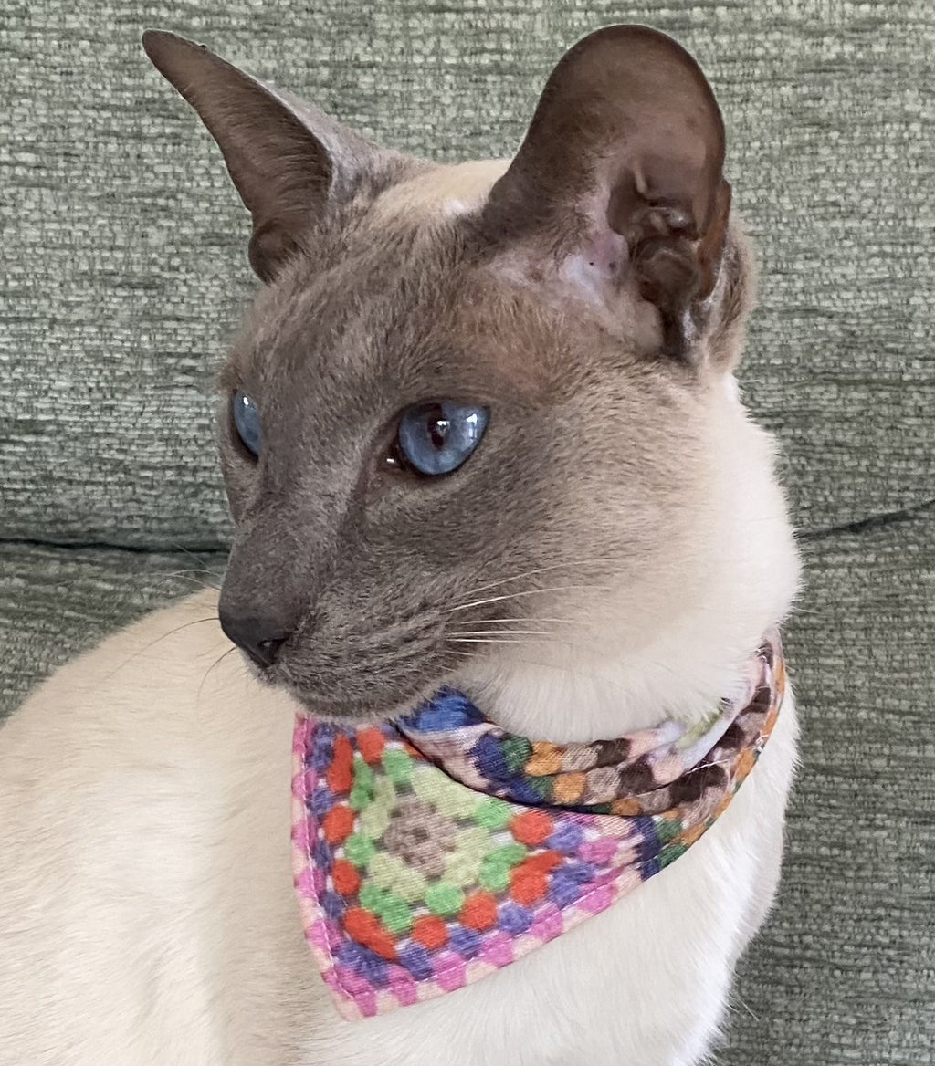 Pet Bandana - Digital Download