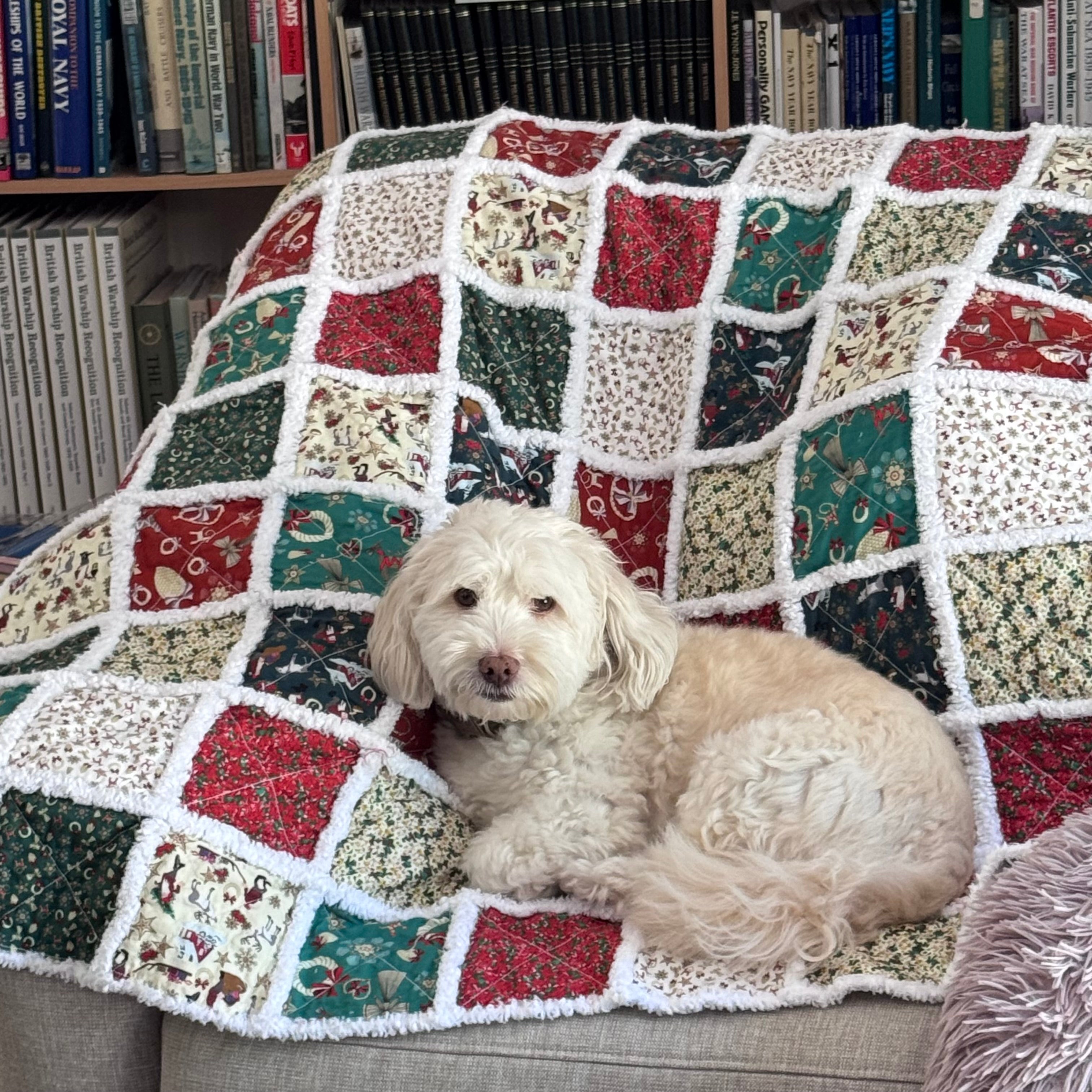 New - Frayed Elegance Quilt: Stitch, Snip and Bloom, Quilt as you go Instructions - Digital Download