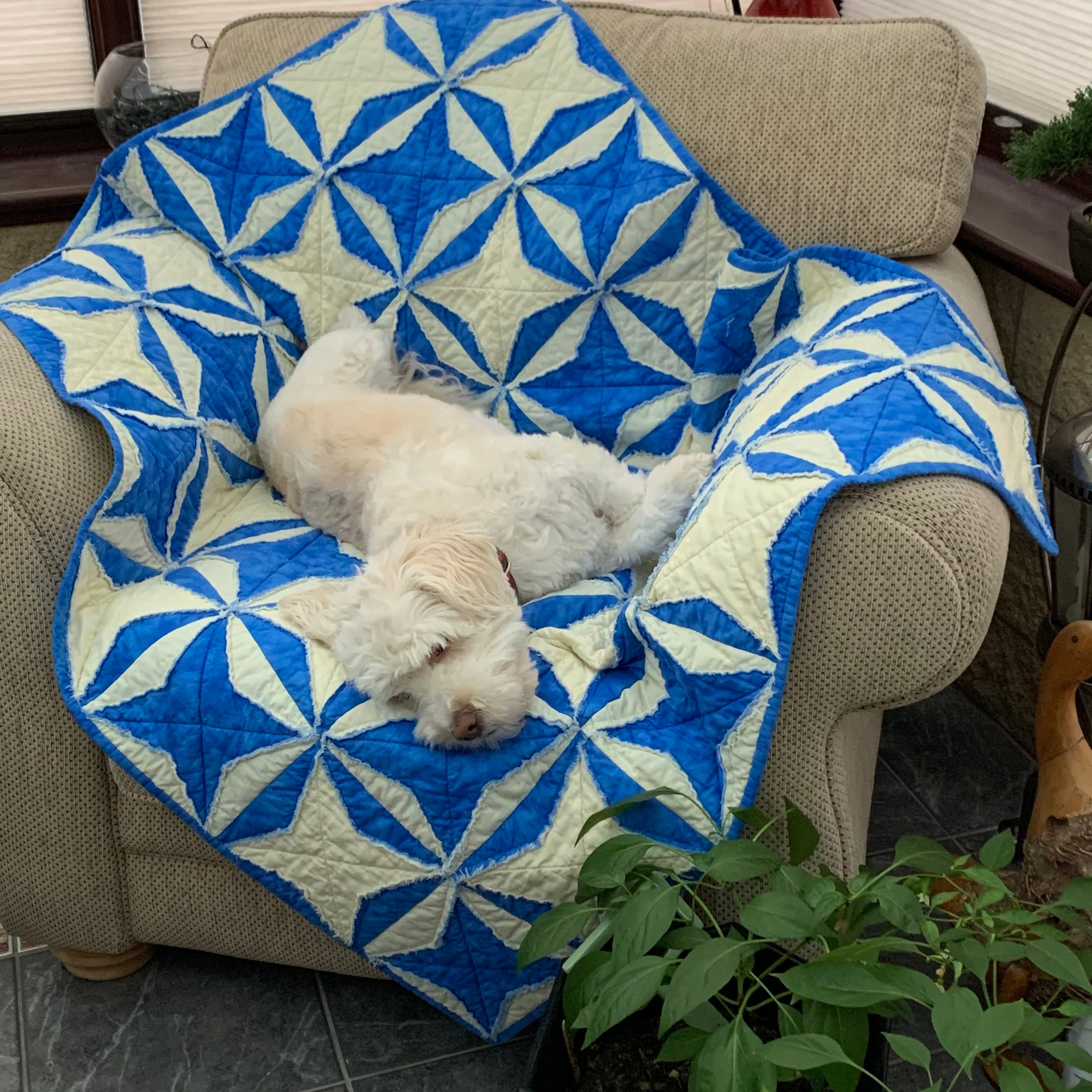 Kriss Kross Star Quilt - Digital Download