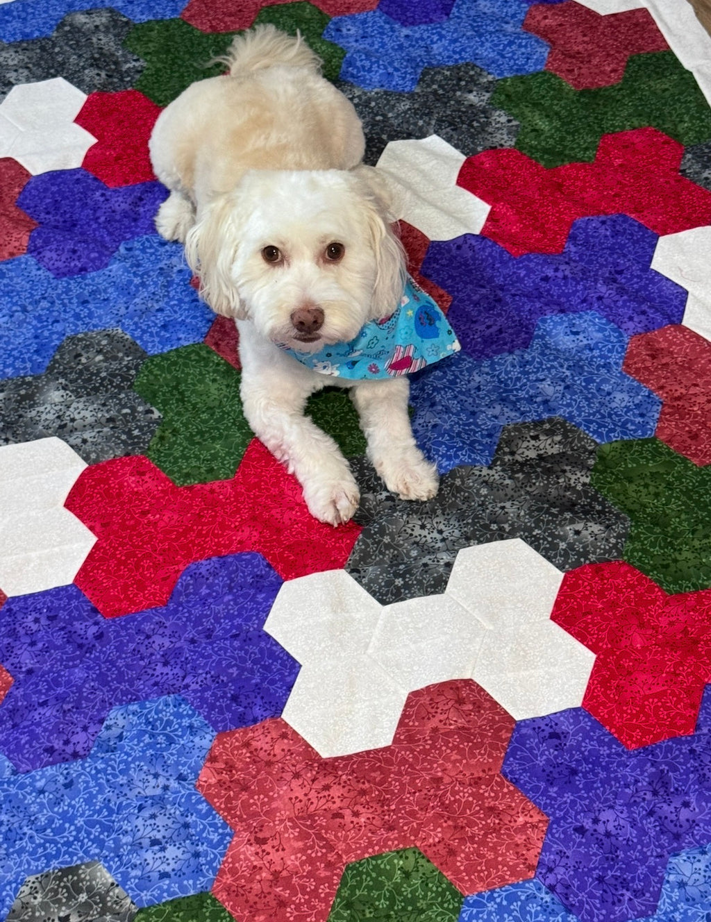 Hex & Hound - The Puppy Love Quilt - Beginner Friendly - Digital Download