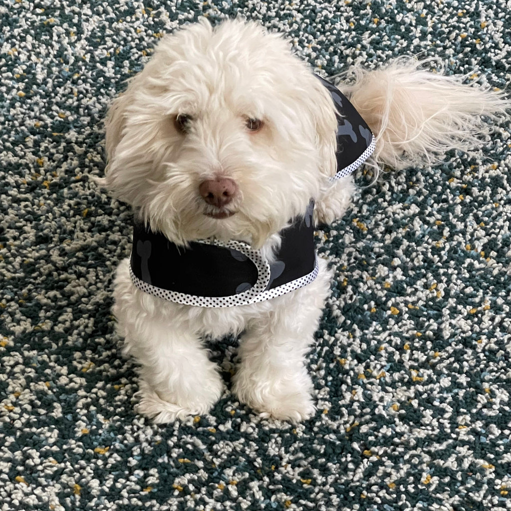Pendi's Quilted Dog Coat adjustable pattern complete with instructions for a 'Harness Hack', 'Doggy Dry Coat', as well as a cute 'Bandana' for a collar  - Digital Download