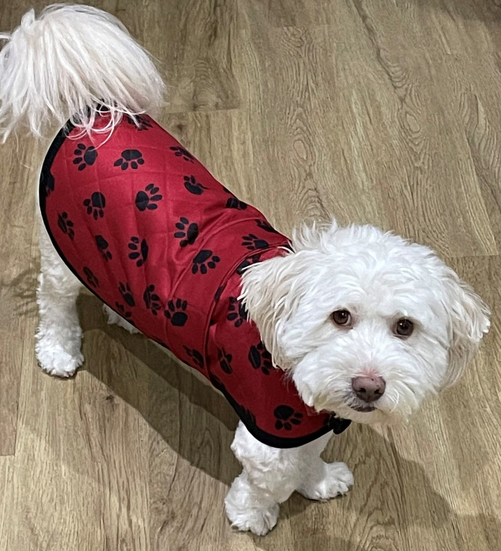 Pendi's Quilted Dog Coat adjustable pattern complete with instructions for a 'Harness Hack', 'Doggy Dry Coat', as well as a cute 'Bandana' for a collar  - Digital Download