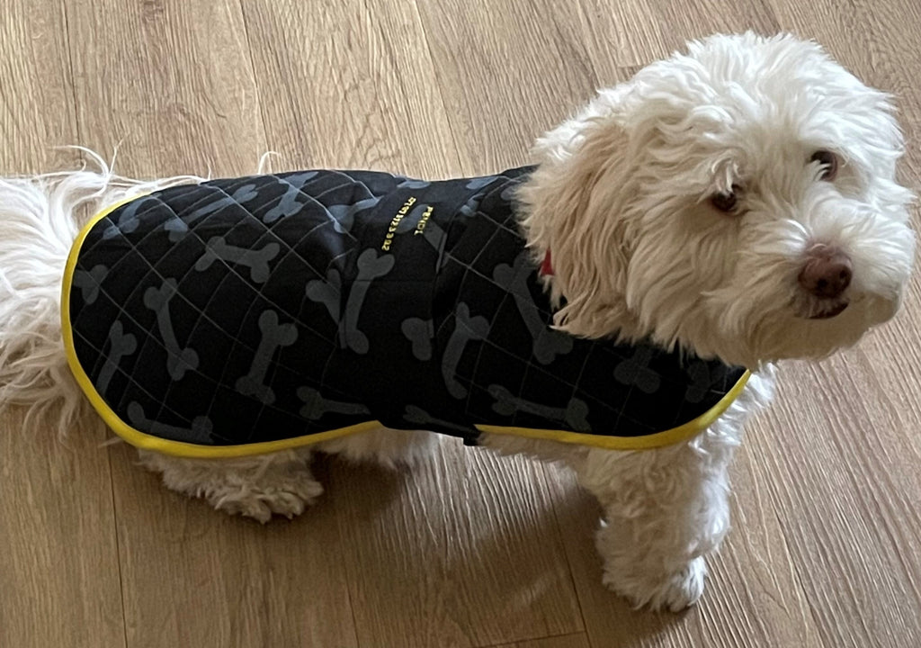 Pendi's Quilted Dog Coat adjustable pattern complete with instructions for a 'Harness Hack', 'Doggy Dry Coat', as well as a cute 'Bandana' for a collar  - Digital Download